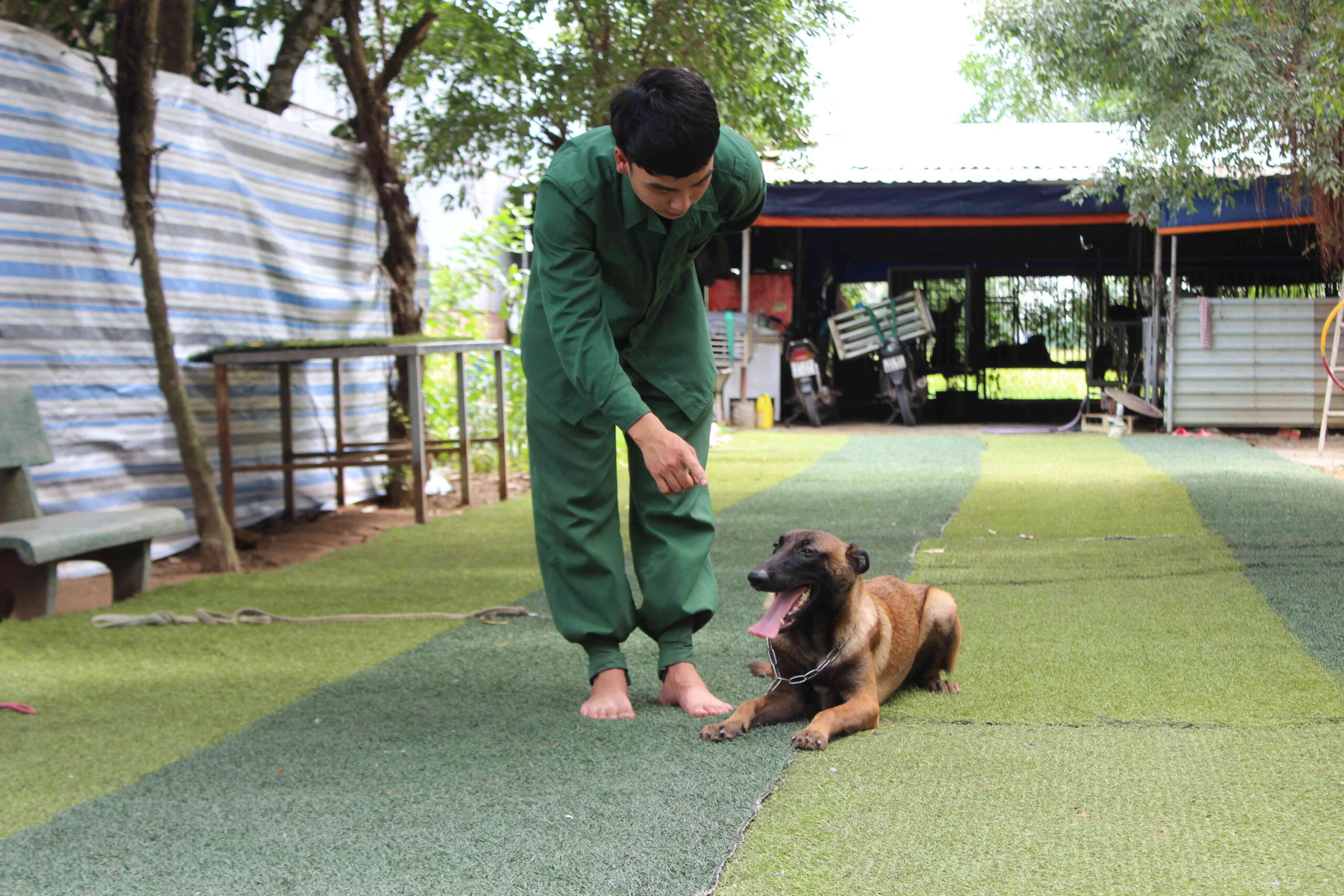 TRUNG TÂM HUẤN LUYỆN CHÓ SÀI GÒN