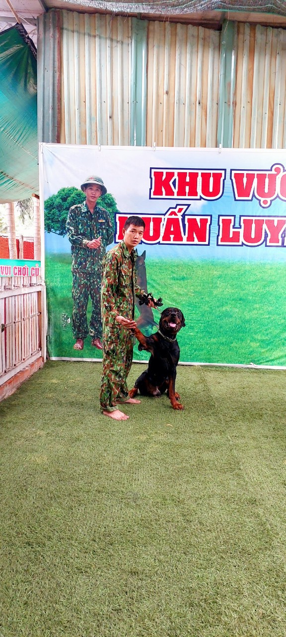 Trung tâm huấn luyện chó Sài Gòn DVT