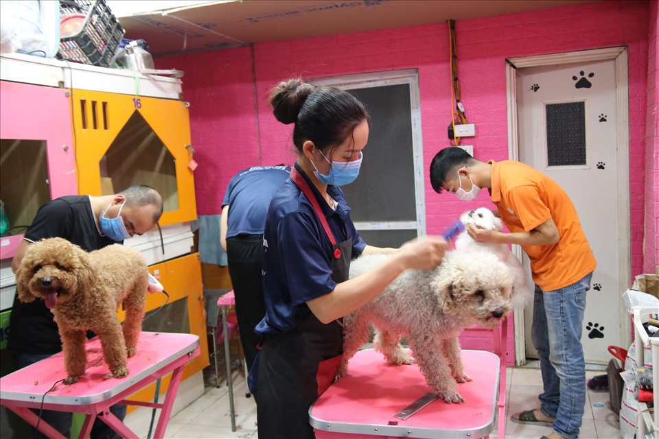Dịch vụ làm đẹp, spa thú cưng đắt khách dịp cận Tết Tân Sửu